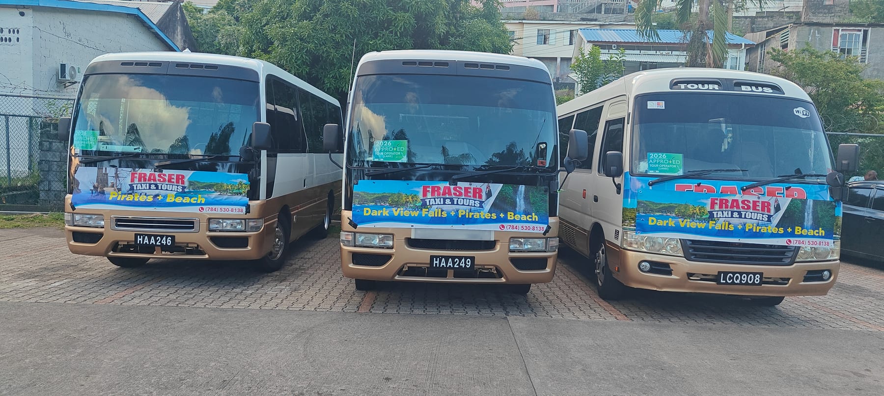 Fraser Taxi & Tours fleet of three branded Toyota Coaster buses, parked in Kingstown