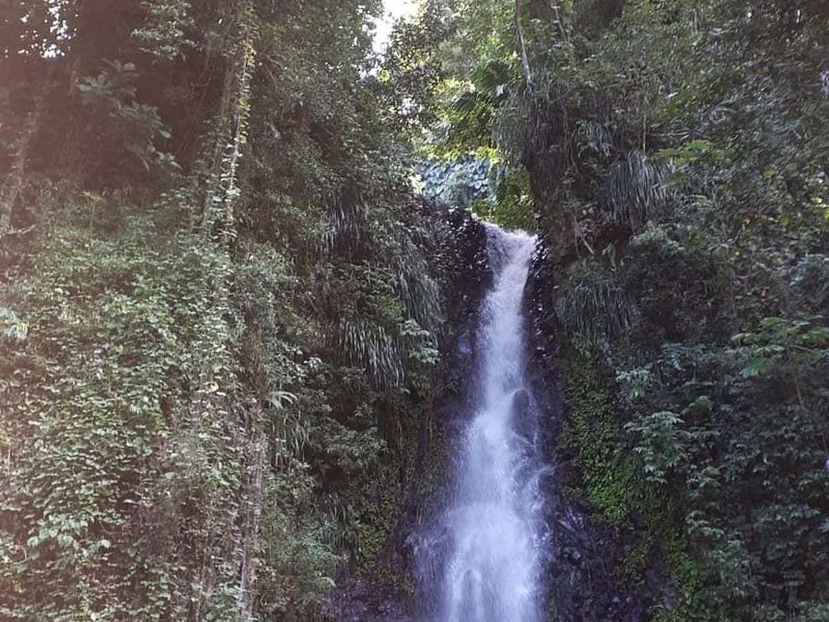 Dark View Falls