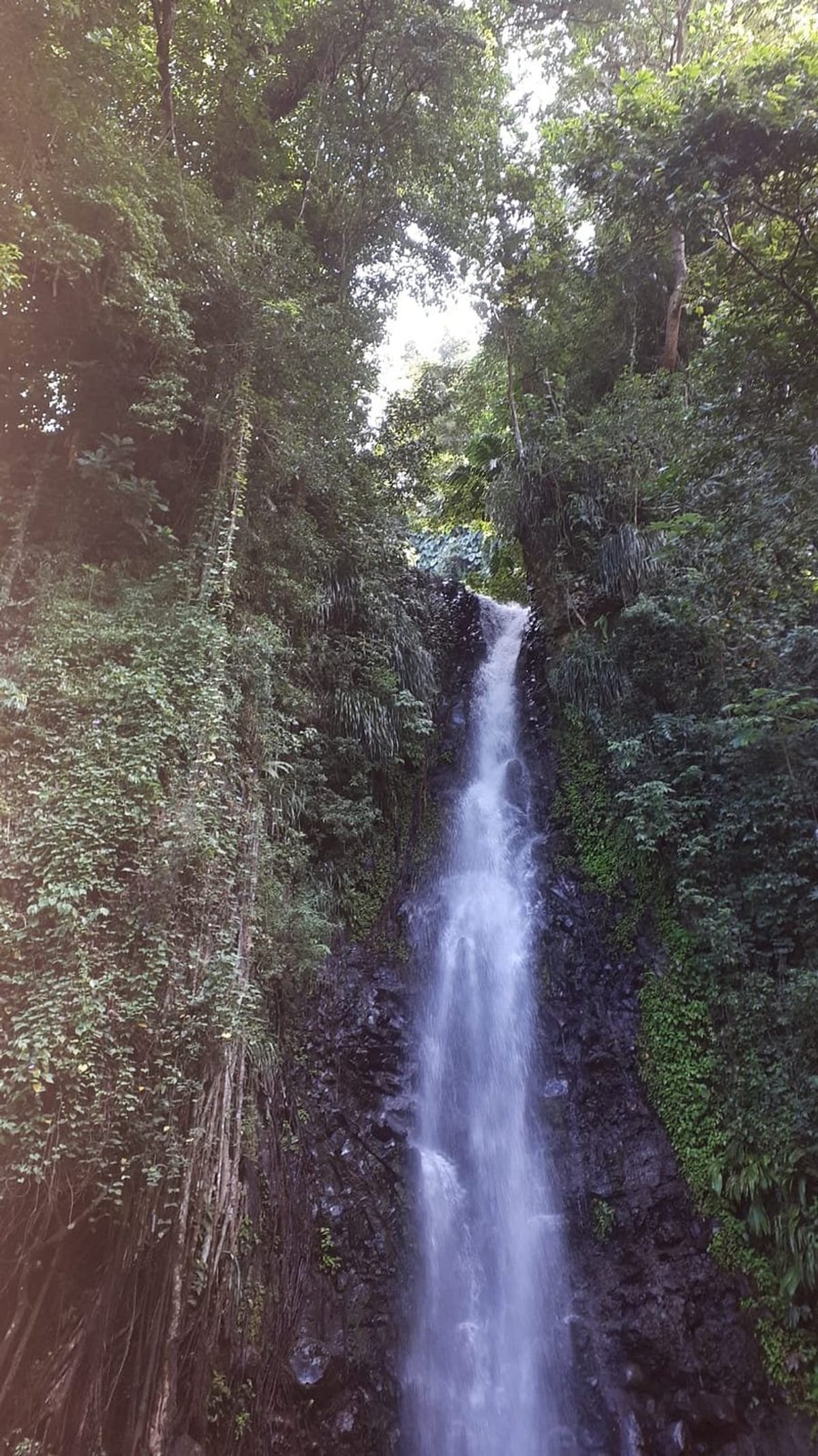 Dark View Falls