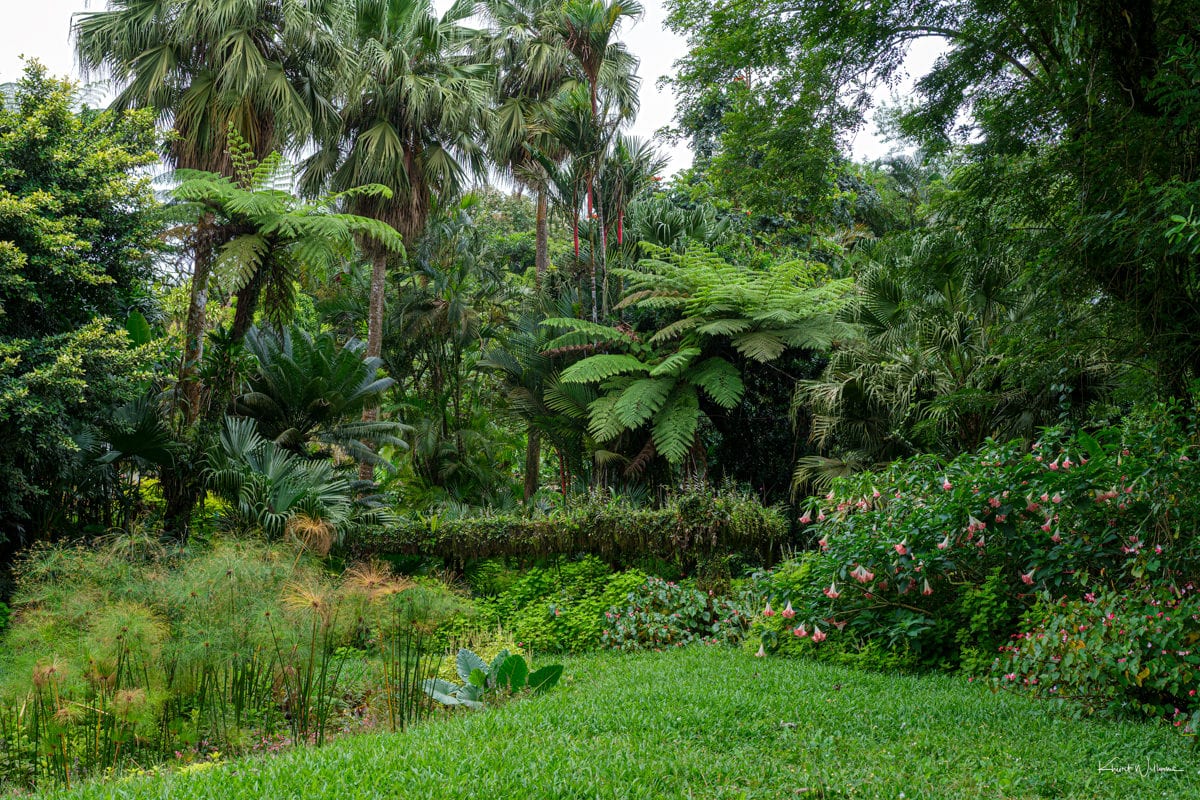 Montreal Gardens